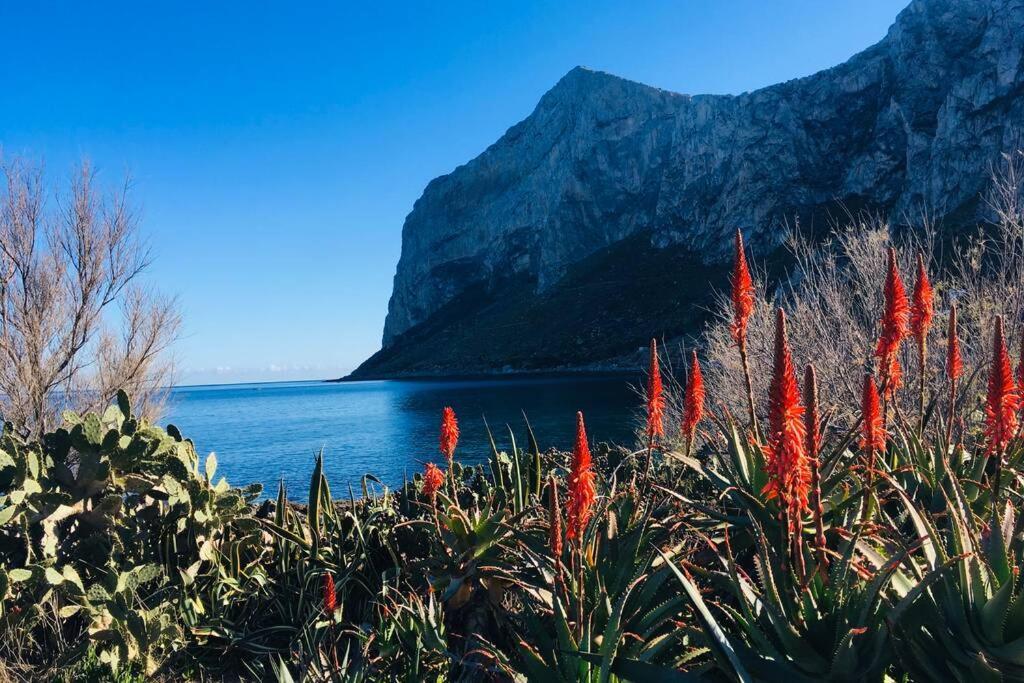 Villa La Ninfa Galatea Palermo Esterno foto